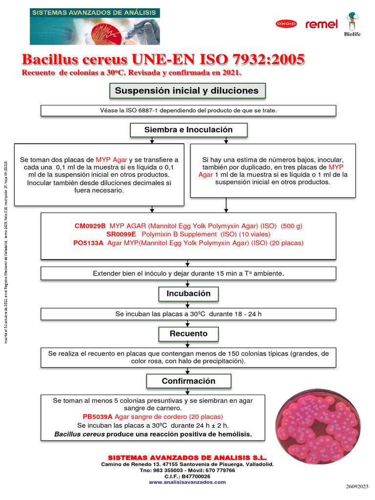 Recuento de Bacillus cereus ISO 7932 | PDF | Biología