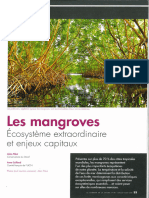 Les Mangroves