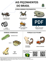 Acidente Por Peçonhentos DT 2019