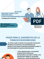 Paracoccidioidomicosis tema5