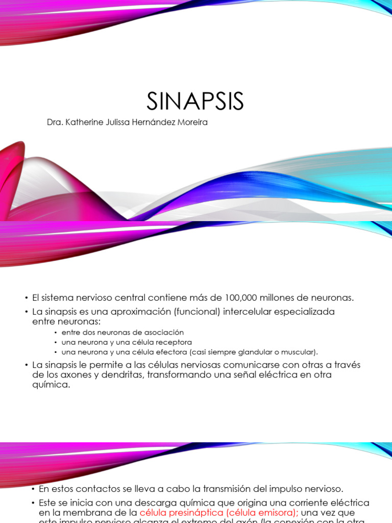 Sinapsis | PDF | Sinapsis | Neurona