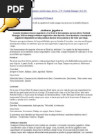 Download Football Manager Instrucciones by antonjesusperezmarin SN73027380 doc pdf