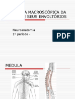 Anatomia Macroscópica Da Medula e Seus Envoltórios