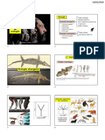 11- Processos de evolução