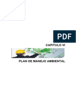 Plan de Manejo Ambiental PS IV