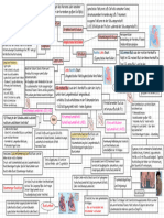 Anatomie Herz