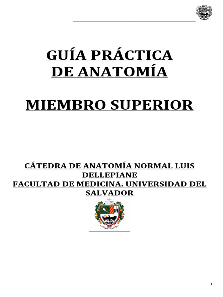 Guia Completa Mmss | PDF | Articulación | Hombro
