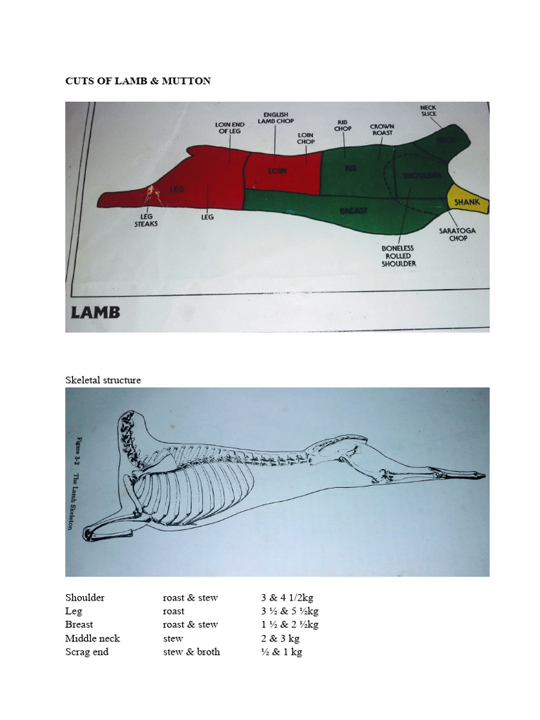 Comprehensive Guide to Meat Cuts | PDF | Beef | Lamb And Mutton