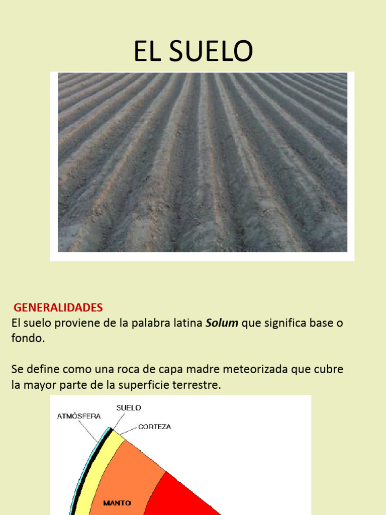El Suelo Pdf Suelo Plantas