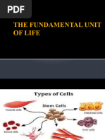 Cells Unit Modeling Cell Structure and Function - SEPUP 2 | PDF | Cell ...