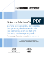 G.corta.embarazo.y.parto.prof.Salud.2013 (1)