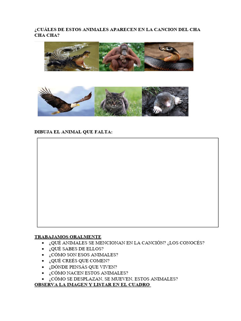 Animales en la Canción del Cha Cha Cha | PDF | Zoología