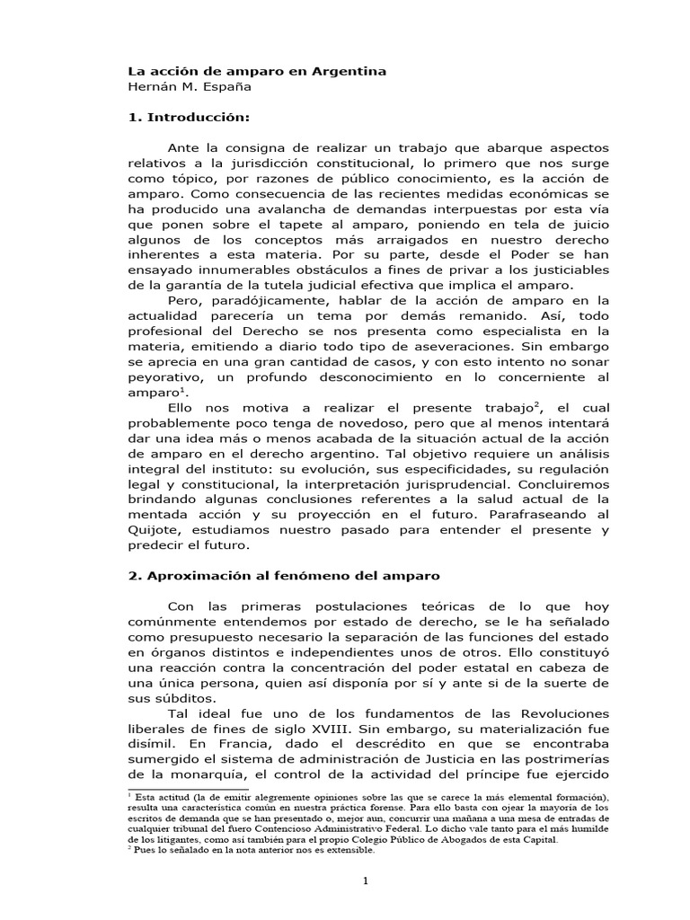 La Acción de Amparo en Argentina: Análisis Actual | PDF | Habeas corpus ...