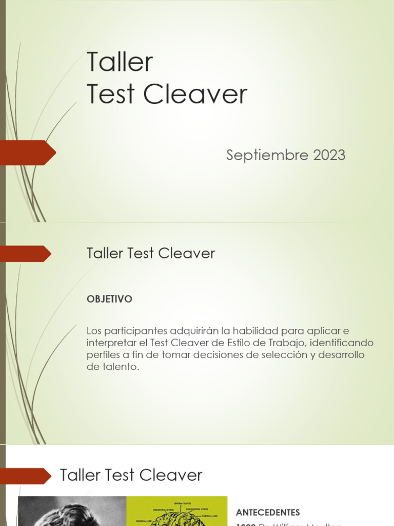 Taller sobre el Test Cleaver DISC | PDF | Teoría de apego | Planificación
