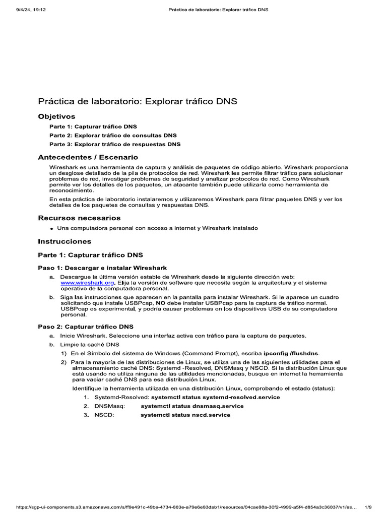 4 1 7 lab exploring dns traffic pdf