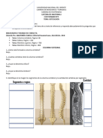 Cuestionario 1 - Anatomia I - Uno