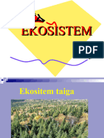 4 Ekosistem