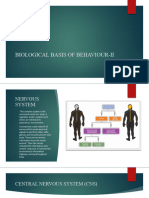 Biological Basis of Behaviour-II