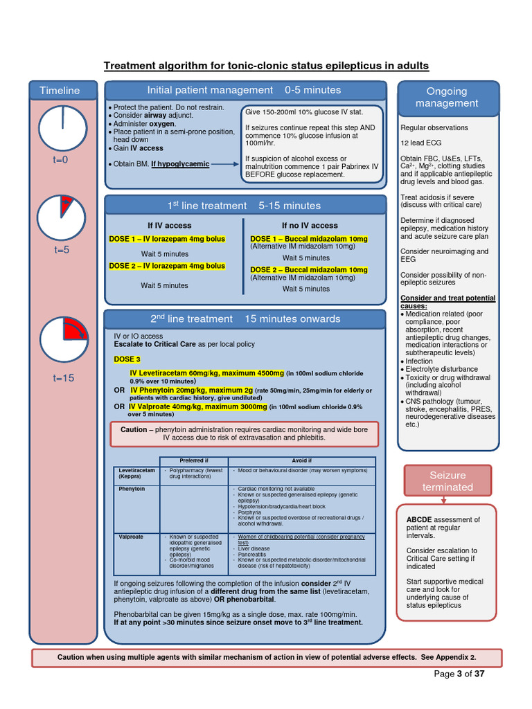 Status Epilepticus Treatment Protocol | PDF | Epilepsy | Midazolam