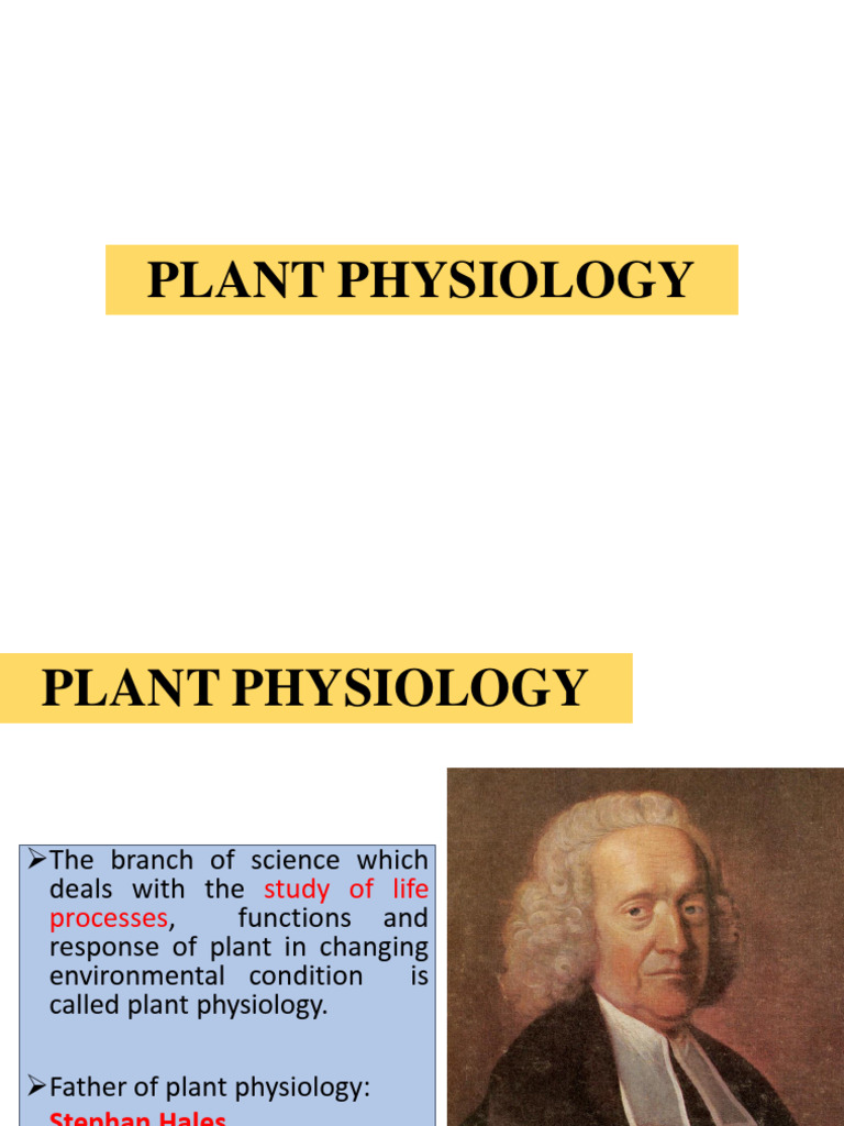 Plant Physiology PDF Osmosis Diffusion