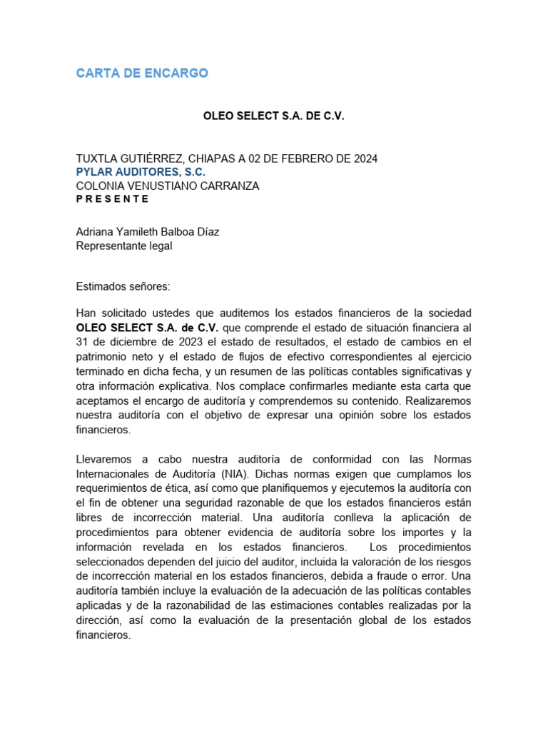 Carta De Encargo De Auditoriacarta De Auditoria Externa
