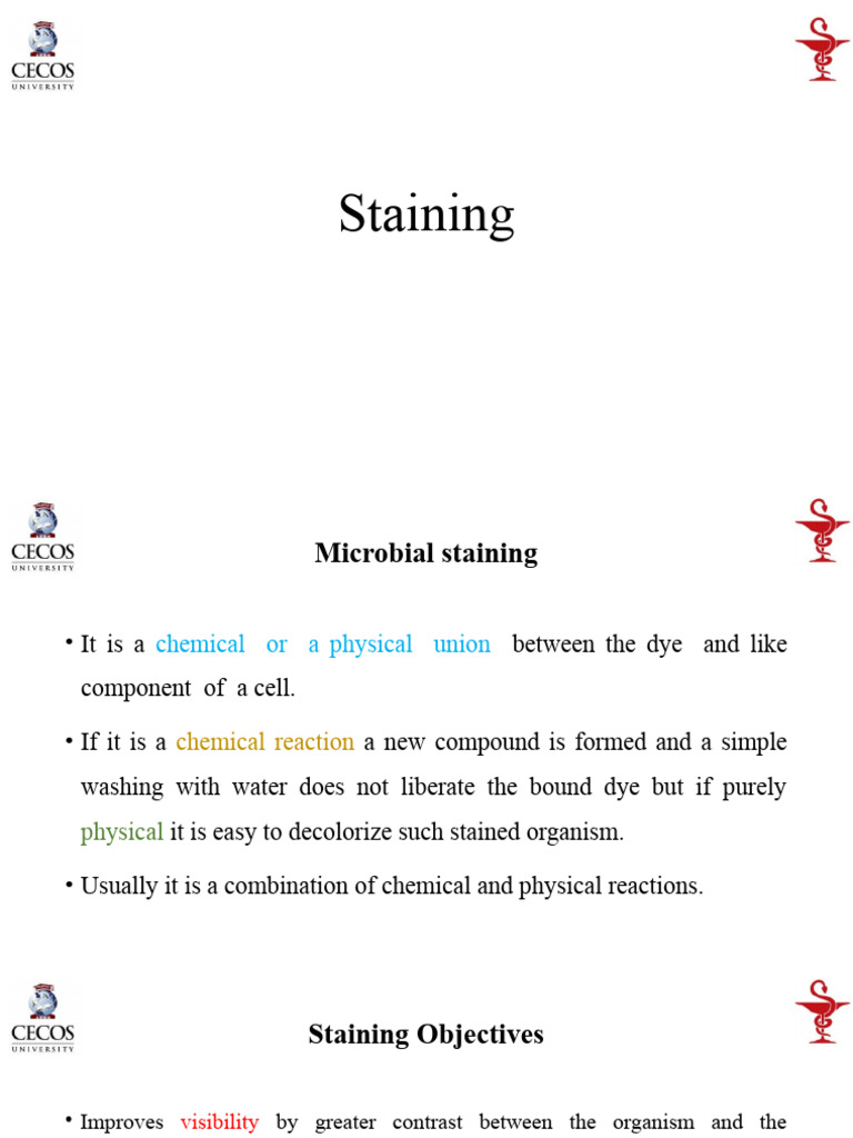 Staining Pdf Staining Gram Positive Bacteria