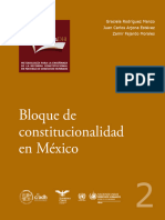 2 Bloque Constitucionalidad