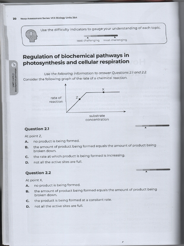 Photosynthesis worksheet (1) PDF