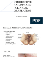 Anatomy and Clinical Correlates