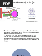 Visual Pathway | PDF | Visual System | Cerebral Cortex