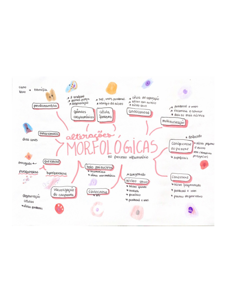 mapa-mental-citologia-oncotica-pdf