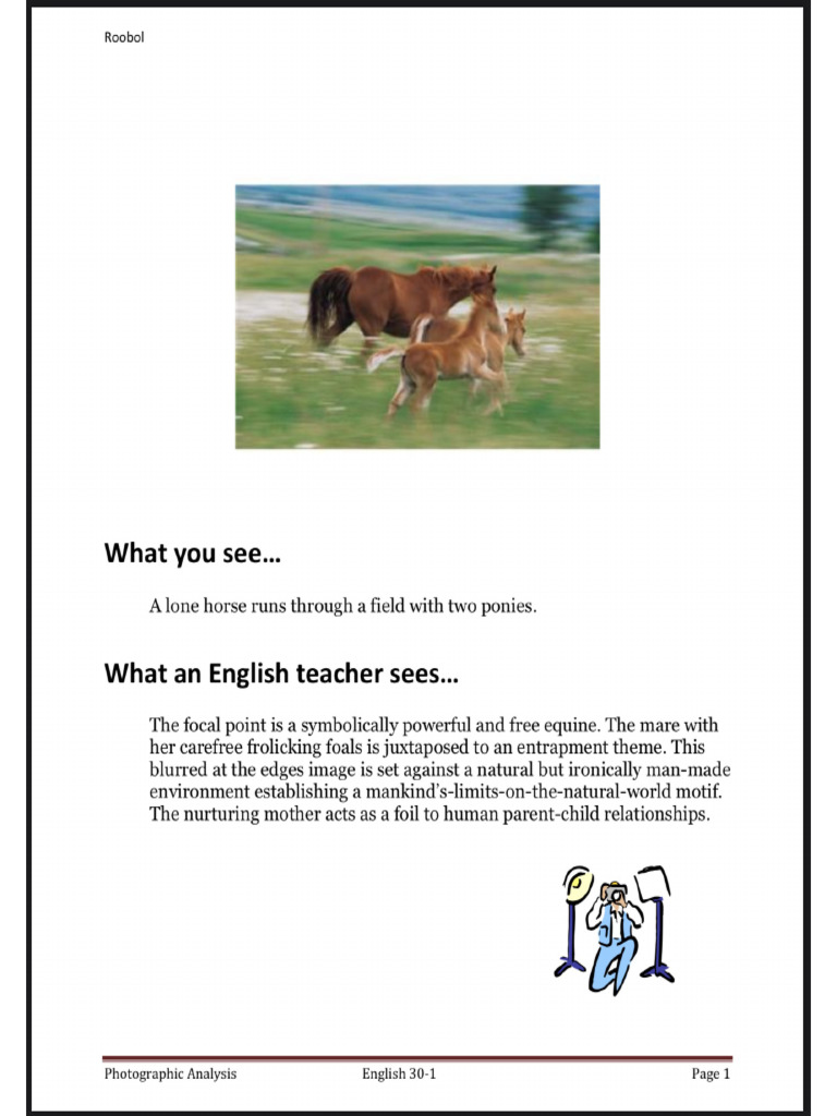 Photographic Analysis | PDF