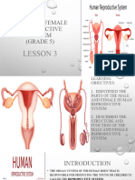 MALE AND FEMALE REPRODUCTIVE SySTEM