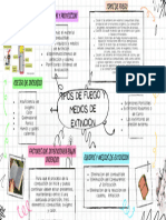 Mapa Mental Tipos de Fuego