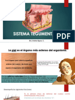 Sistema Tegumentario