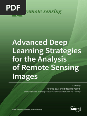Advanced Deep Learning Strategies For The Analysis of Remote