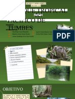 Ecosistema - Bosque Tropical Del Pacifico de Tumbes