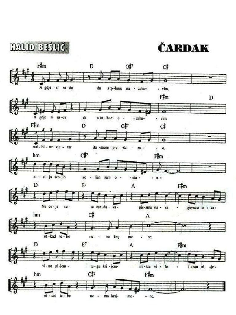 Halid Bešlić NOTE I AKORDI I RIJEČI