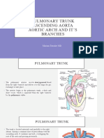 Pulmonary Trunk Ascending Aorta, Aortic Arch and Its Branches