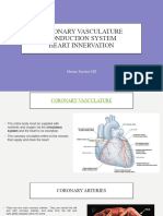 Coronary Vasculature Cardiac Conductive System Heart Innervation