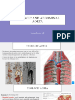 Thoracic and Abdominal Aorta