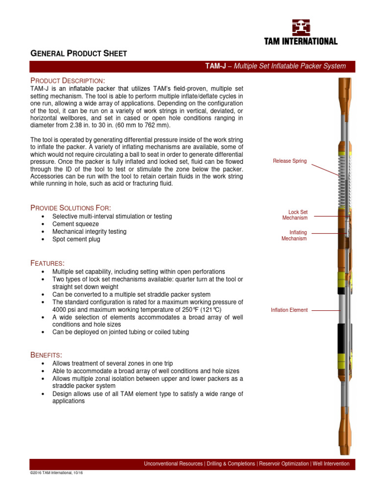 TAM-J Inflatable Packer System Overview | PDF | Mechanical Engineering