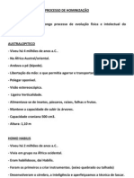 Processo de Hominização - Resumo-CristinaMarinheiro