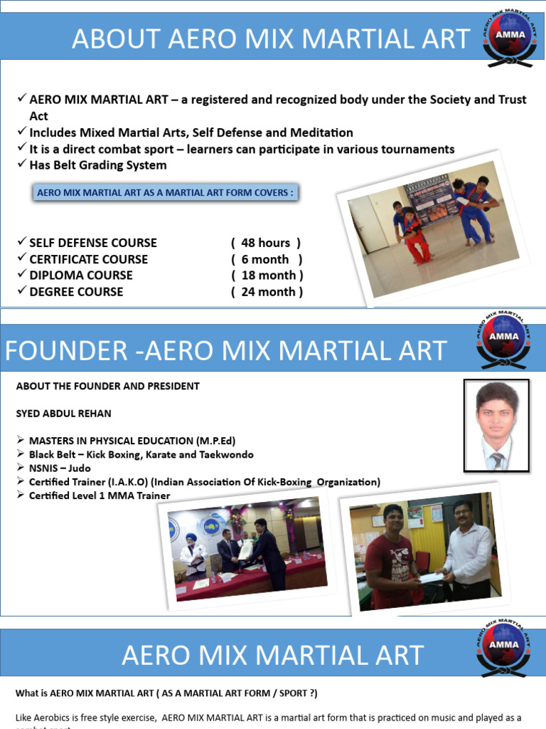 Aero Mix Martial Art As A Martial Art Form Covers | PDF | Mixed Martial ...