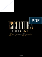 Resumo Escultura Labial