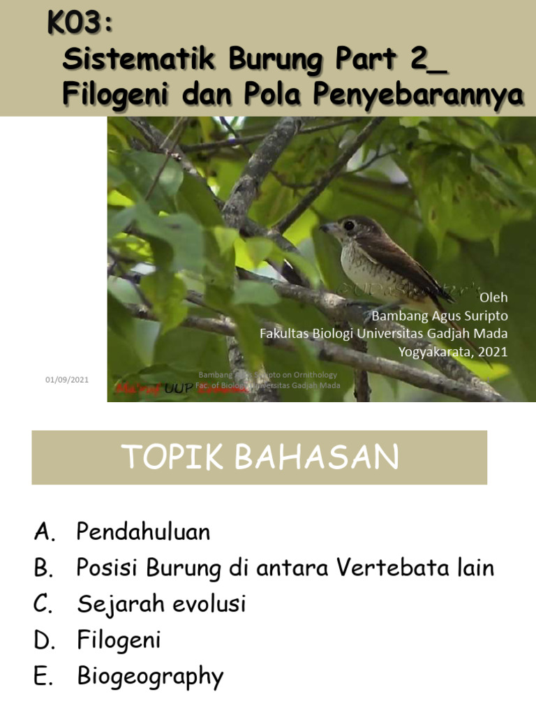 Filogeni dan Biogeografi Burung | PDF
