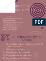 Formación de imágenes en el ojo y vías visuales