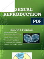 GB2 Asexual Reproduction