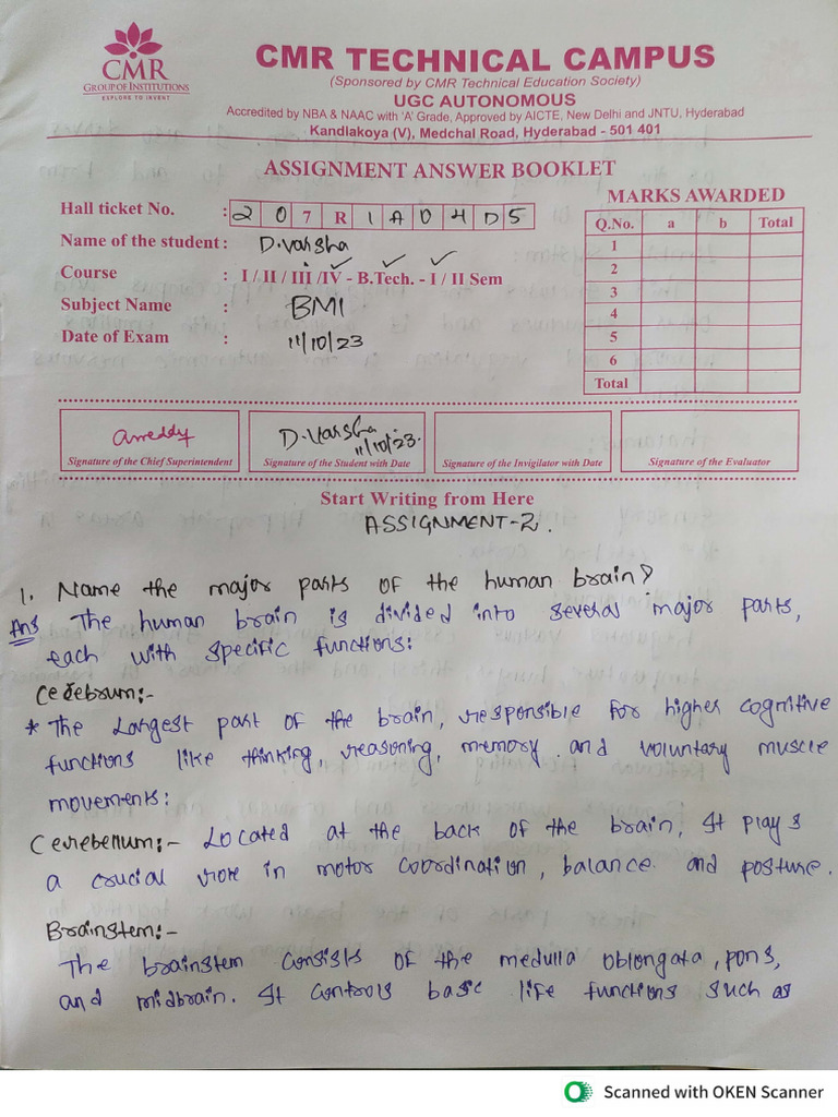 BMI Assignment | PDF