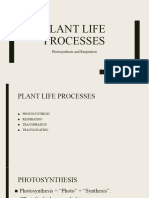 Plant Life Processes (Autosaved)